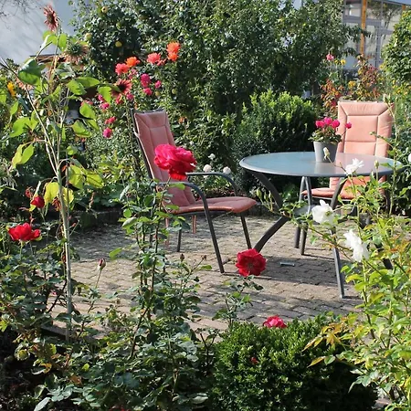No. 73 - Idylle Im Rebenmeer Pleisweiler-Oberhofen Zewnętrze zdjęcie