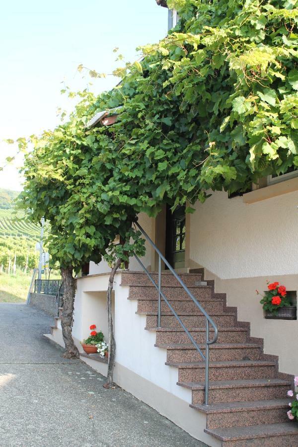 No. 73 - Idylle Im Rebenmeer Pleisweiler-Oberhofen